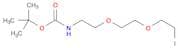 1,2-dimethyl-4-oxo-6-(trifluoromethoxy)-1,4-dihydroquinoline-3-carboxylic acid