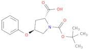 (2R,4S)-1-(tert-Butoxycarbonyl)-4-phenoxypyrrolidine-2-carboxylic acid