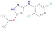 2,5-DICHLORO-N-(5-ISOPROPOXY-1H-PYRAZOL-3-YL)PYRIMIDIN-4-AMINE