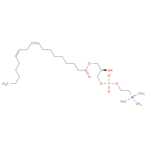 (R)-2-Hydroxy-3-((9Z,12Z)-octadeca-9,12-dienoyloxy)propyl (2-(trimethylammonio)ethyl) phosphate