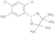 1,3,2-Dioxaborolane, 2-(2,4-dichloro-5-methylphenyl)-4,4,5,5-tetramethyl-