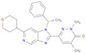 3(2H)-Pyridazinone, 2,4-dimethyl-6-[1-[(1S)-1-phenylethyl]-6-(tetrahydro-2H-pyran-4-yl)-1H-imidazo…