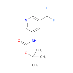 Carbamic acid, N-[5-(difluoromethyl)-3-pyridinyl]-, 1,1-dimethylethyl ester