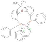 Dichloro[9,9-dimethyl-4,5-bis(diphenylphosphino)xanthene]cobalt(II)