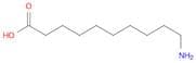 Decanoic acid, 10-amino-, homopolymer