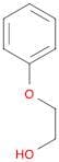 Ethoxylated phenol