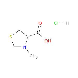3-Methylthiazolidine-4-carboxylic acid hydrochloride