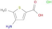 2-Thiophenecarboxylic acid, 4-amino-5-methyl-, hydrochloride