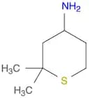 2,2-Dimethylthian-4-amine