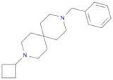 3-BENZYL-9-CYCLOBUTYL-3,9-DIAZASPIRO[5.5]UNDECANE