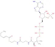 trans-hex-2-enoyl-CoA