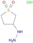 (1,1-Dioxidotetrahydro-3-thienyl)hydrazine, HCl