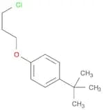 Benzene, 1-(3-chloropropoxy)-4-(1,1-dimethylethyl)-