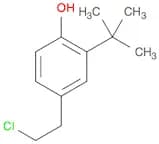 Phenol, 4-(2-chloroethyl)-2-(1,1-dimethylethyl)-