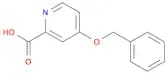 2-Pyridinecarboxylic acid, 4-(phenylmethoxy)-