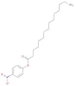 Pentadecanoic acid, 4-nitrophenyl ester