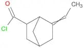Bicyclo[2.2.1]heptane-2-carbonyl chloride, 6-ethylidene-
