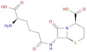 5-Thia-1-azabicyclo[4.2.0]octane-2-carboxylic acid, 7-[[(5R)-5-amino-5-carboxy-1-oxopentyl]amino]-…