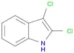 2,3-Dichloro-Indole