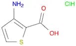 3-Amino-thiophene-2-carboxylic acid sodium salt