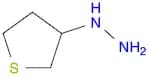 (thiolan-3-yl)hydrazine
