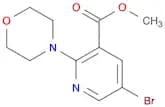 Methyl 5-bromo-2-morpholinonicotinate