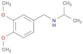 [(3,4-dimethoxyphenyl)methyl](propan-2-yl)amine