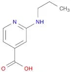 2-(Propylamino)isonicotinic acid