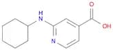 2-(Cyclohexylamino)isonicotinic acid