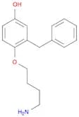 Phenol, 4-(4-aminobutoxy)-3-(phenylmethyl)-