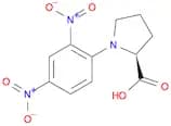 1-(2,4-dinitrophenyl)pyrrolidine-2-carboxylic acid