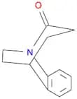 1,5-Ethano-1H-1-benzazepin-2(3H)-one, 4,5-dihydro-