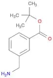 Benzoic acid, 3-(aminomethyl)-, 1,1-dimethylethyl ester