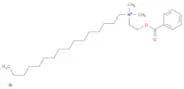 1-Hexadecanaminium, N-[2-(benzoyloxy)ethyl]-N,N-dimethyl-, bromide (1:1)