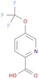 2-Pyridinecarboxylic acid, 5-(trifluoromethoxy)-