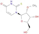 2’-O-Methyl-2-thiouridine