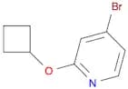 4-Bromo-2-cyclobutoxypyridine