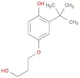 Phenol, 2-(1,1-dimethylethyl)-4-(3-hydroxypropoxy)-