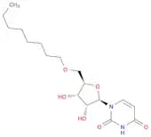 Uridine, 5'-O-octyl- (9CI)
