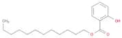 Benzoic acid, 2-hydroxy-, dodecyl ester