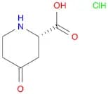 2-Piperidinecarboxylic acid, 4-oxo-, hydrochloride, (S)- (9CI)