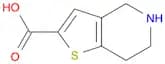 4,5,6,7-Tetrahydrothieno[3,2-c]pyridine-2-carboxylic acid
