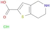Thieno[3,2-c]pyridine-2-carboxylic acid, 4,5,6,7-tetrahydro-, hydrochloride (1:1)