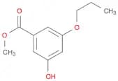 Benzoic acid, 3-hydroxy-5-propoxy-, methyl ester