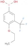 Boronic acid, B-[4-propoxy-3-(trifluoromethyl)phenyl]-