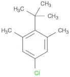 Benzene, 5-chloro-2-(1,1-dimethylethyl)-1,3-dimethyl-