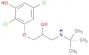 Phenol, 2,5-dichloro[3-[(1,1-dimethylethyl)amino]-2-hydroxypropoxy]- (9CI)