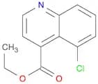 Ethyl 5-chloroquinoline-4-carboxylate