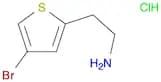 2-(4-Bromothiophen-2-Yl)Ethanamine Hydrochloride