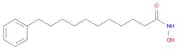 Benzeneundecanamide, N-hydroxy-
